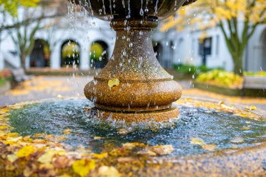 Daryl’s Crucible: Navigating the Precipice in The Walking Dead Season 11